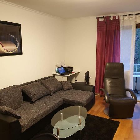 Breite Familien Apartment Bázel Kültér fotó